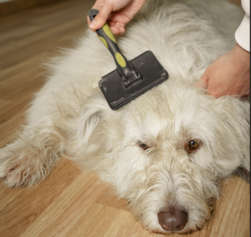 Cleaning & Hygiene