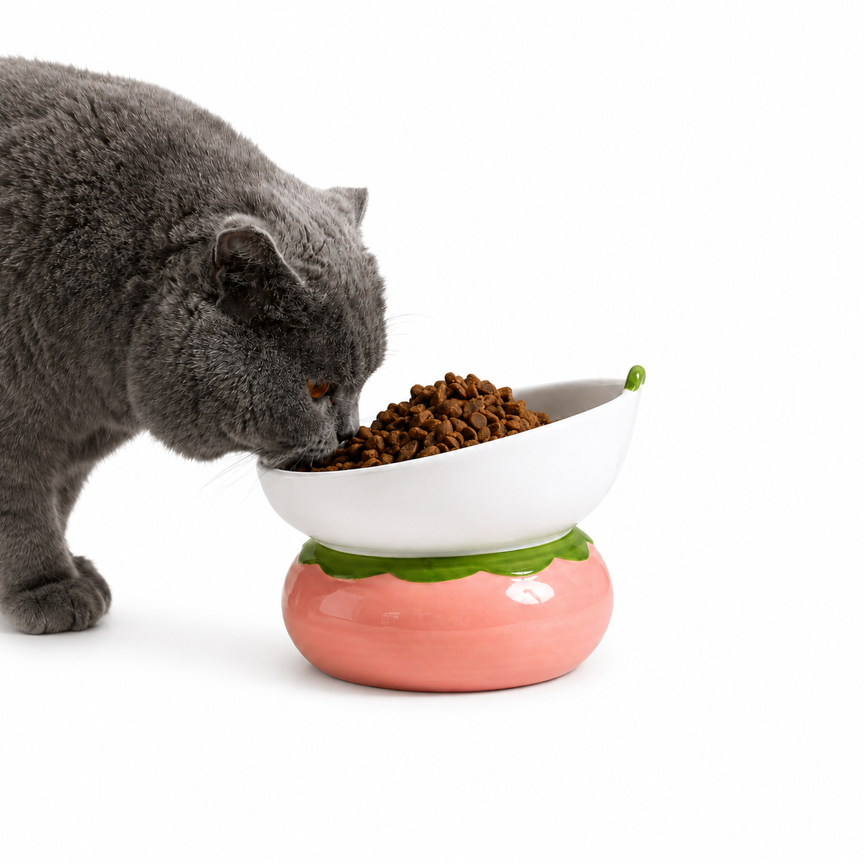 Elevated Cat Food Bowl